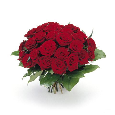 Bouquet de fleurs roses rouges